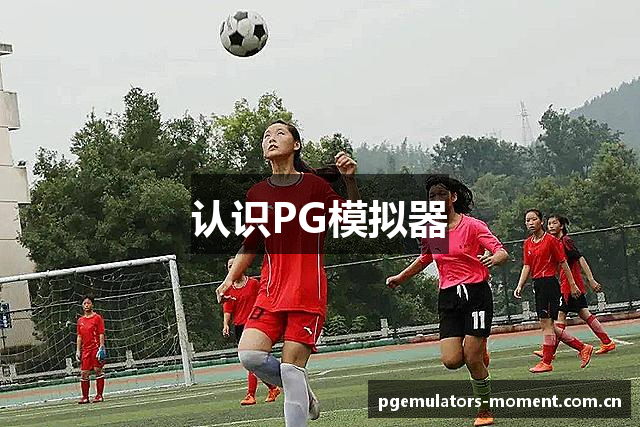 认识PG模拟器